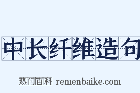 中长纤维造句是什么意思的图片